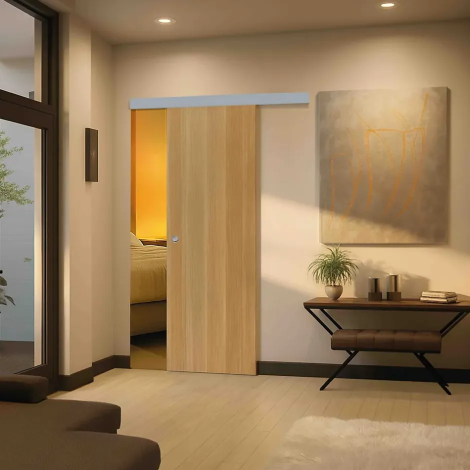 Reivilo Porte coulissante applique Matild 63 cm avec cuvette ronde chromée