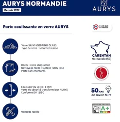 Aurys Porte coulissante en verre seule (rail non inclus) - MONDO OPAQUE BLEUE - H. 204 x L. 93 - Fabrication Française NORMANDIE