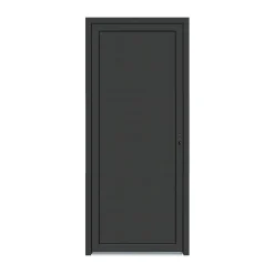Porte de service pvc pleine gris anthracite et blanc 90 x h.205 cm poussant gauche- Sale