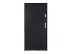 Porte d'entrée en acier pleine H207 x L100 cm anthracite - épaisseur 55 mm - poussant gauche - AGUEDA-Vente-unique Hot