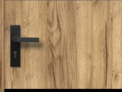 Vente-unique Porte d'entrée en acier pleine et inox H207 x L100 cm effet chêne - épaisseur 55 mm - poussant droit - NAXARA