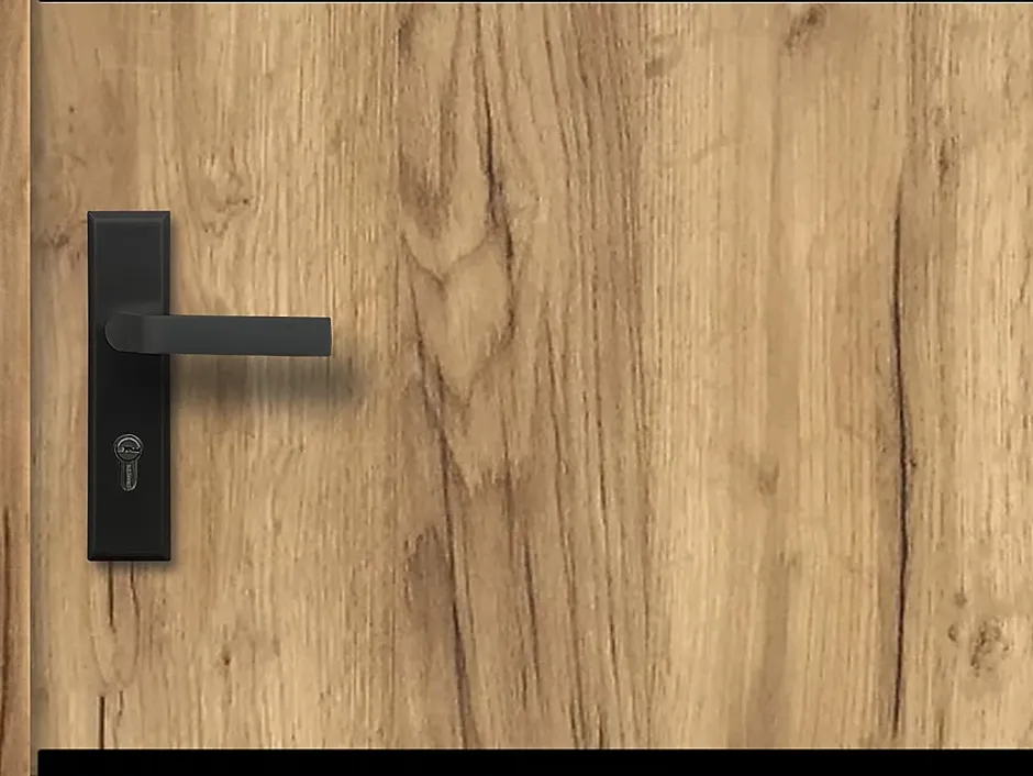 Vente-unique Porte d'entrée en acier pleine et inox H207 x L100 cm effet chêne - épaisseur 55 mm - poussant droit - NAXARA