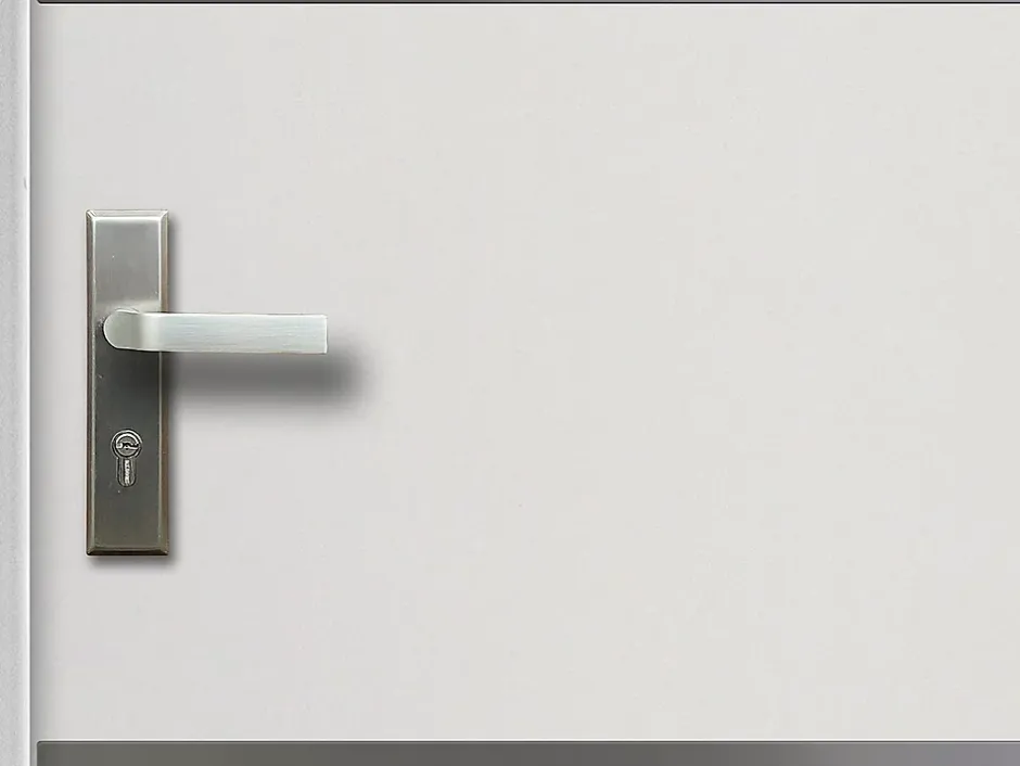 Porte d'entrée en acier pleine et inox H207 x L100 cm blanc - épaisseur 55 mm - poussant droit - NAXARA-Vente-unique Discount