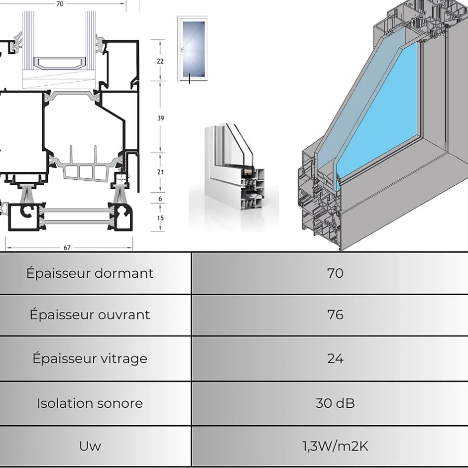 Porte d'entrée en aluminium CLASSIC DESIGN 2307 RAL 7035 ( L.: 85 cm x H.: 200 cm)-3 in 1 Outlet