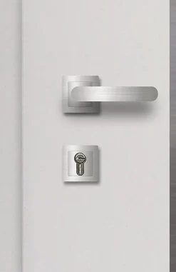 Fortia Porte d'entrée acier blanc RAL 9003 Ricadi 96 x h.218 cm poussant droit