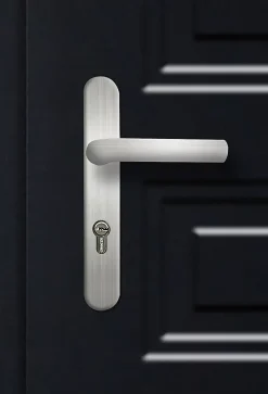 Porte d'entrée acier Mamaia 96 x h.218 cm poussant droit-Fortia Best