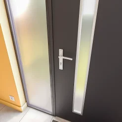 Fortia Porte d'entrée acier gris RAL 7016 Pasni 96 x h.218 cm poussant droit