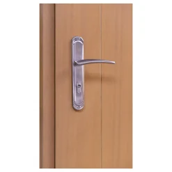 Fortia Porte d'entrée bois Anaklia 98 x h.218 cm poussant droit