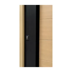 Porte d'entrée bois Sassel 98 x h.218 cm poussant droit-Fortia Sale