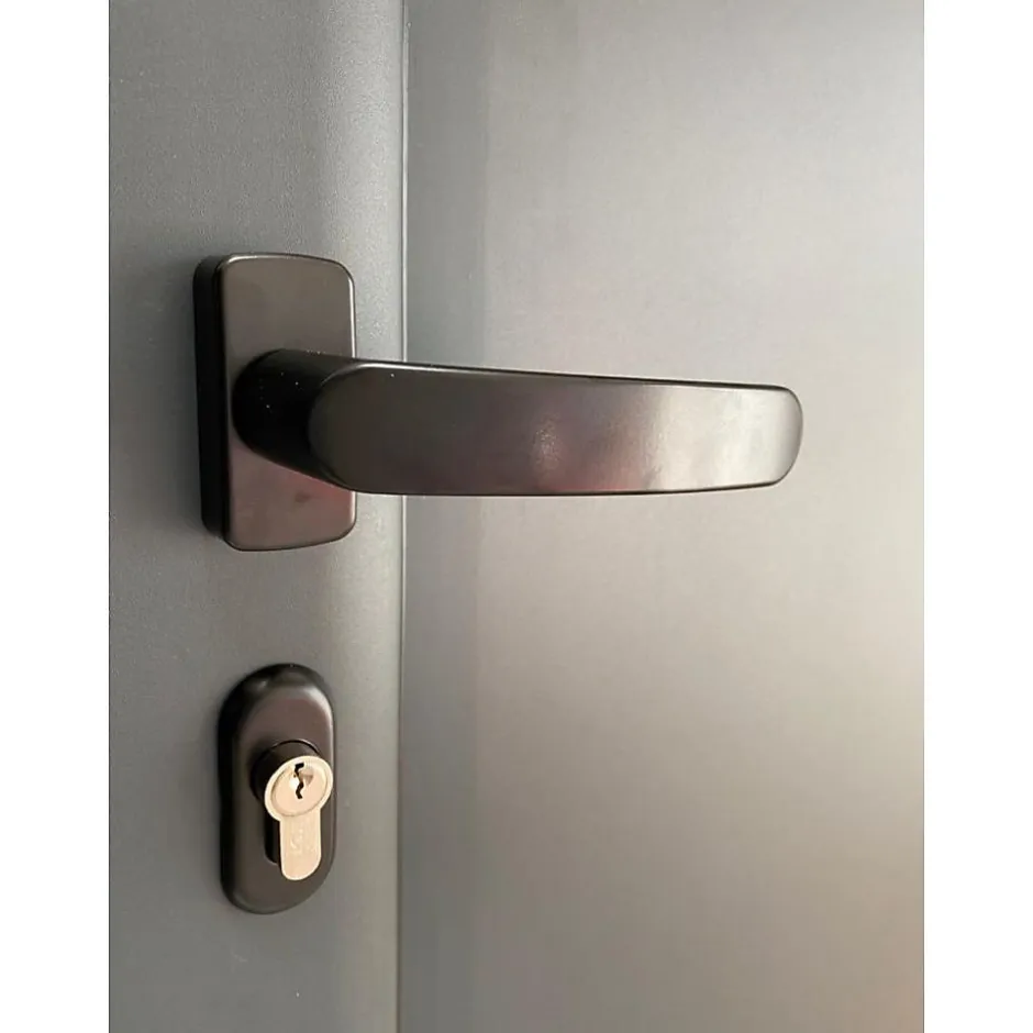 Porte Métallique Industrielle De Service Isolée Réversible L1000 H2150 RAL7016 En Applique-4M Online