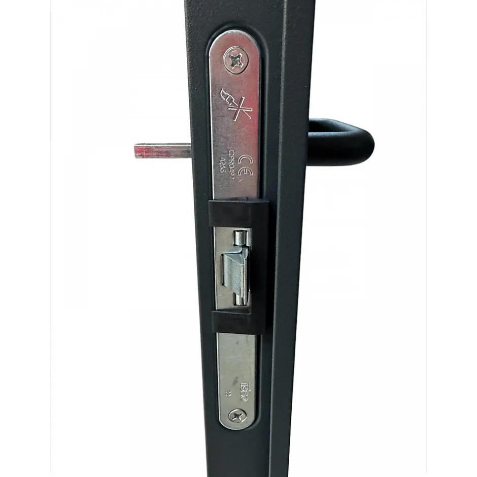Porte Métallique Industrielle De Service Isolée Réversible L1000 H2150 RAL7016 En Applique-4M Online