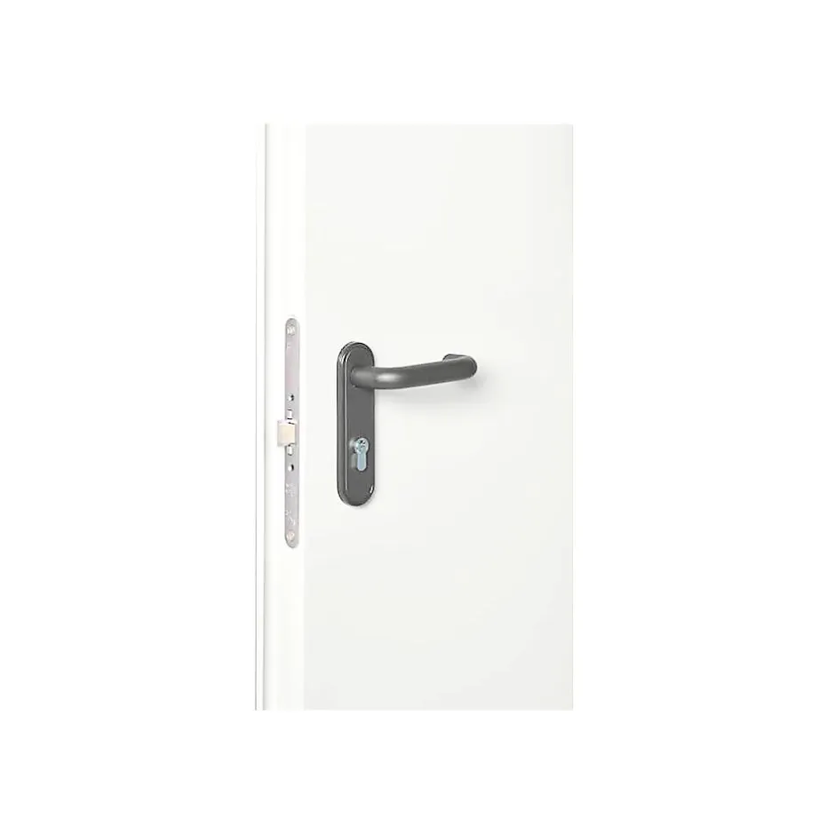 4M Porte Métallique Industrielle De Service Isolée Réversible L1100 H2150 RAL9010 En Applique