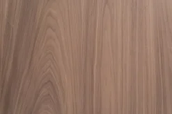 Lynporte Porte seule isoplane INDUS bois noyer 2040 x 630