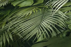 Profhome 372802-GU Papier peint nature lisse mat 5,33 m2