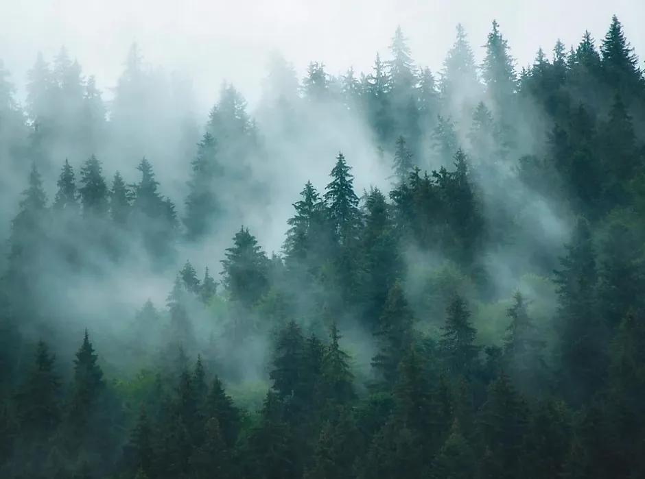 398981-GU Papier peint photo lisse mat 3,71 m x 2,8 m-Profhome Outlet