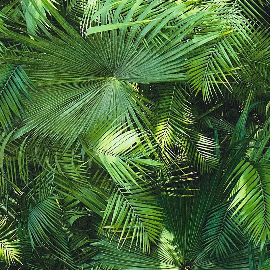 362001-GU Papier peint nature lisse mat 5,33 m2-Profhome Hot