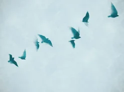 Profhome 399231-GU Papier peint photo lisse mat 3,71 m x 2,8 m