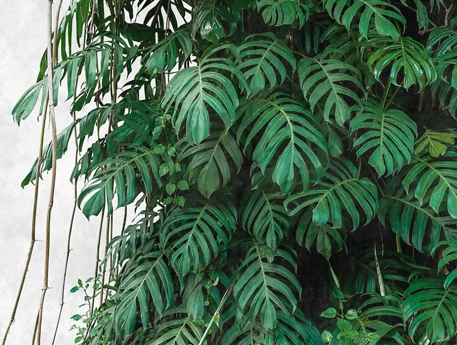 382411-GU Papier peint photo lisse mat 3,71 m x 2,8 m-Profhome New