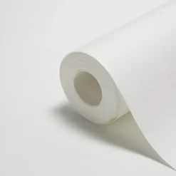 Diall Revêment de rénovation sur intissé blanc 15m 120g/m²