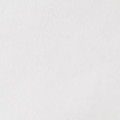 Diall Revêment de rénovation sur intissé blanc 15m 120g/m²