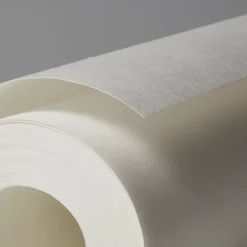 Diall Revêment de rénovation sur intissé blanc 15m 120g/m²