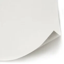 Diall Revêment de rénovation sur intissé blanc 50m 120g/m²