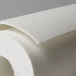 Diall Revêtement de rénovation lisse à peindre thermique 300g/m² L.10 m (Vendu au rouleau)