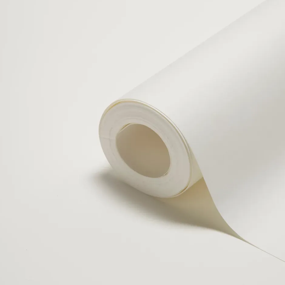 Diall Revêtement de rénovation lisse prépeint 160g/m² L.15 m (Vendu au rouleau)