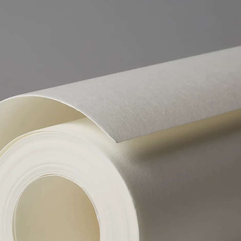 Diall Revêtement de rénovation lisse prépeint 160g/m² L.15 m (Vendu au rouleau)