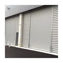 4M Rideau Métallique Blanc RAL9010 Motorisé 220V Lames Pleines 9/10ème L5500 H2000 PREMIUM