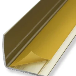 Floordirekt Seuil d'escalier Integral, Forme: L 30 x 20 mm Longueur: 100 cm, Auto-adhésif, Or