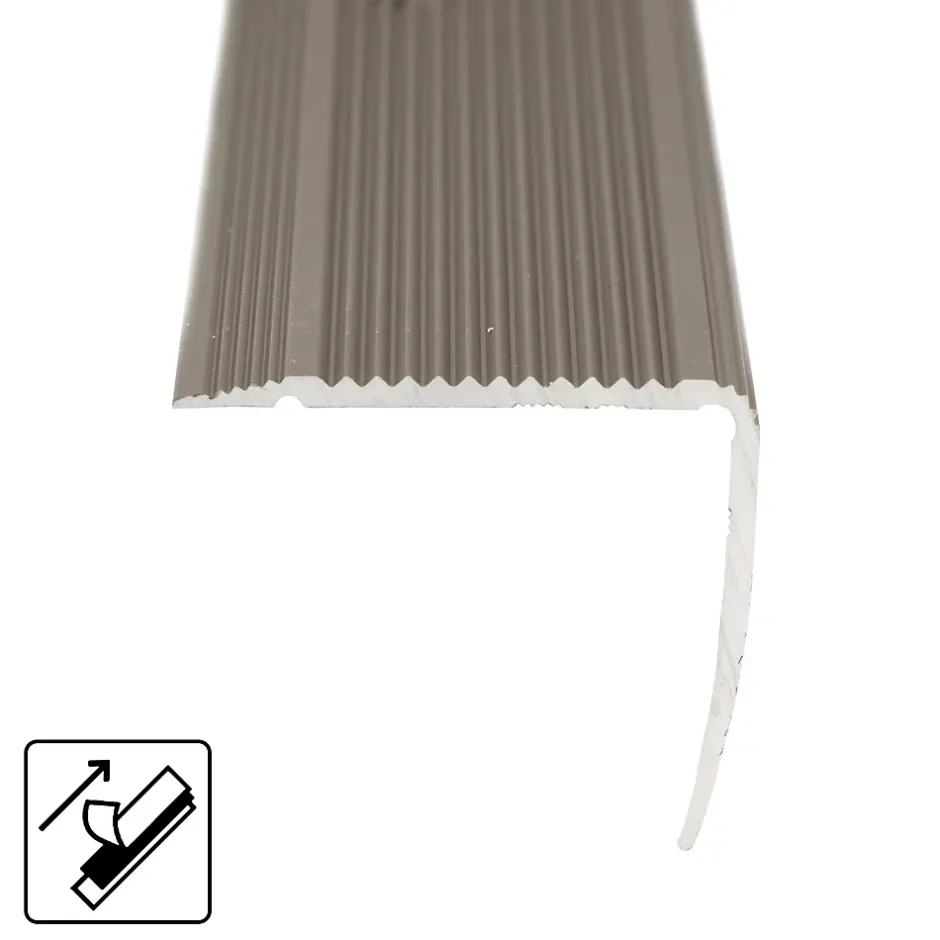 Floordirekt Seuil d'escalier Integral, Forme: L 30 x 20 mm Longueur: 100 cm, Auto-adhésif, Champagne