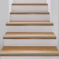 Seuil d'escalier Pré-percé, Forme: L 30 x 20 mm, Longueur: 90 cm, Champagne-Floordirekt Sale