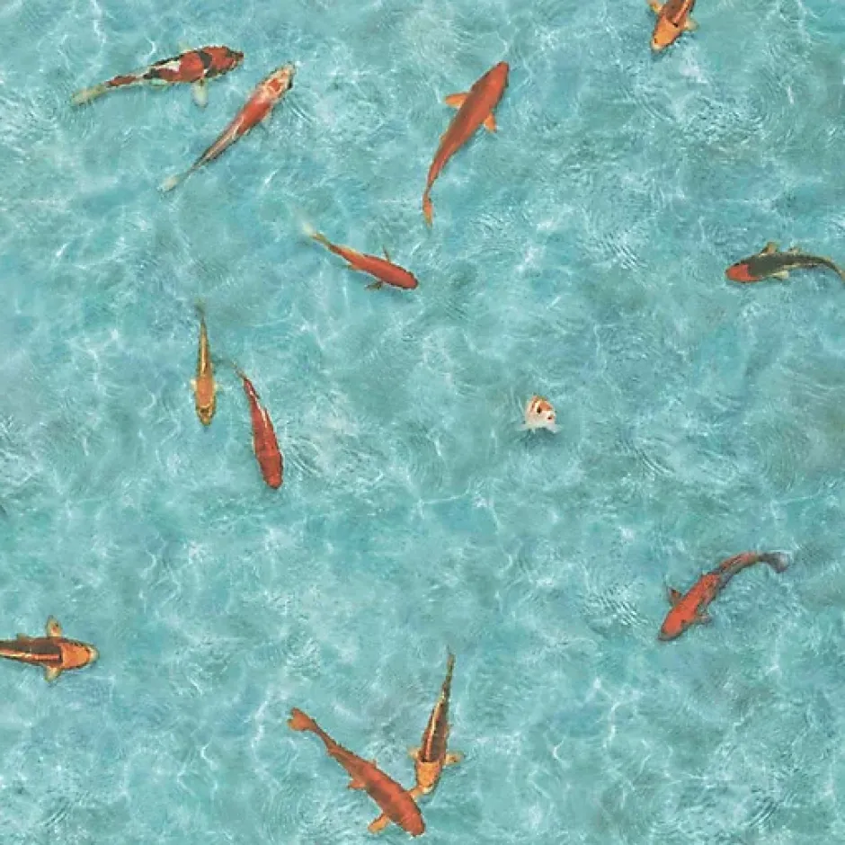 Sol vinyle Textile - effet poisson Koï japonais - Echantillon 15 x 20 cm-Décoweb Discount