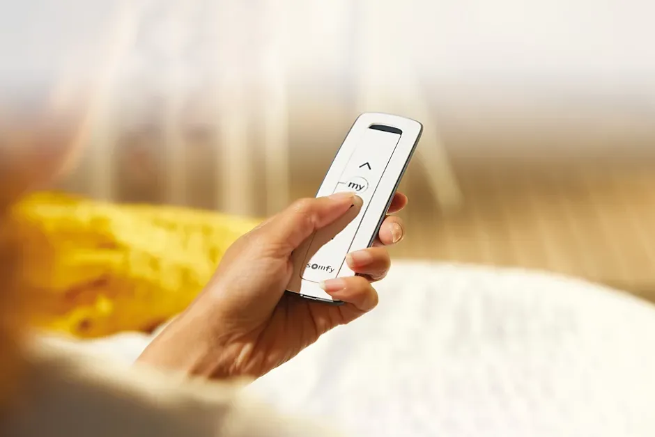 Somfy Télécommande Situo Pure RTS 1 canal 1870496