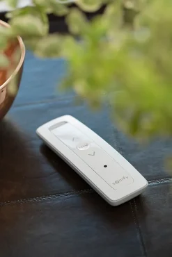 Somfy Télécommande Situo Pure RTS 1 canal 1870496