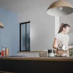 Verrière 2 Carreaux - Déjà Montée - Noir Mat - Verre Dépoli-Mon Marché Déco New