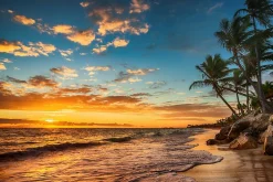 Muralo Vlieseline Papier Peint Photo COUCHER DE SOLEIL Plage Mer Paysage 3D 315cm x 210cm