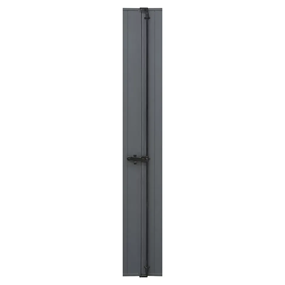 Fortia Volet battant aluminium anthracite - l.120 x H.215 cm - 2 vantaux